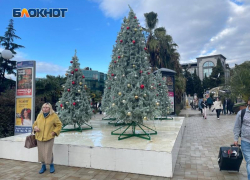 Сочи попал в Топ-3 городов для ранних новогодних бронирований