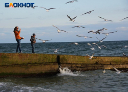 Синоптики рассказали о погоде в Сочи на предстоящую неделю