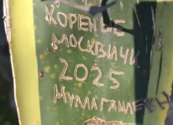 «Коренные москвичи» изуродовали растение в Абхазии 