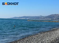 Кинотеатр под открытым небом откроется на одном из пляжей Сочи