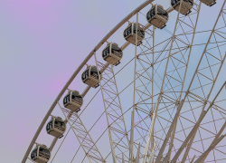 В сочинском парке появится колесо обозрения