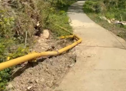 Газовая труба обрушилась в Верещагинском парке Сочи