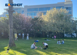 Суд отобрал 1,5 га сквера в Сочи у компании «Русичи», которая 27 лет владела землей