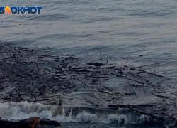 Пляжи Сочи после мощных ливней оказались завалены мусором 