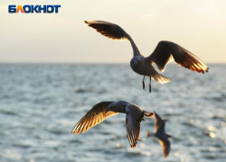 Синоптики дали прогноз на первые дни весны в Сочи