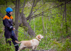 В лесах Сочи нашли  потерявшуюся женщину