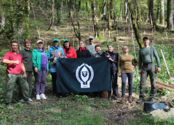 В Сочинском нацпарке высадили 1000 самшитов 