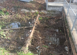 Пейзаж не в радость