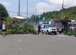 Рынок в Сочи, где продавали смертельную чачу, закрывают