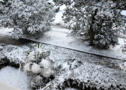 В Сочи ждут ухудшения погоды