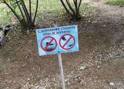 Туристы игнорируют запреты и издеваются над птицами в парке Сочи, таская их в руках и закармливая хлебом