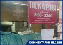  Владелец пекарни из Сочи прокомментировал, как крысы попали в его заведение