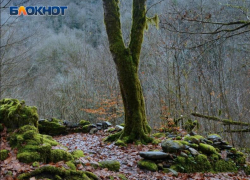 Третий раз за месяц, спасателям Сочи пришлось помогать туристам в Агурском ущелье