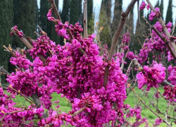 Доброе утро, Сочи