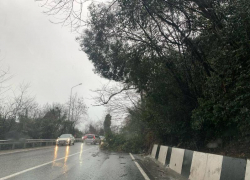  Дерево упало на дорогу на трассе «Джубга-Сочи»