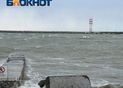 Учёные оценили, когда экосистема Сочи восстановится после «шторма века»