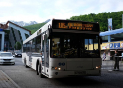 Все лето в автобусах Сочи будут действовать скидки