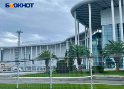 Студенческий городок в Сириусе построят с применением методик микроклиматического моделирования