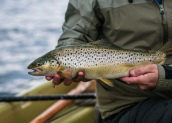 В горные реки Сочи выпустили мальков краснокнижной рыбы