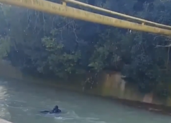 «Фокус не удался, фокусник был пьян»: в Сочи мужчина свалился в реку, пытаясь по трубе перебраться через неё