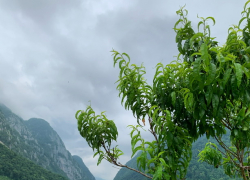 Доброе утро, Сочи 