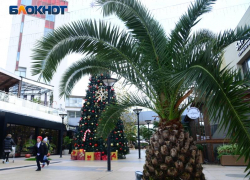 Туроператоры заявили, что новогодний отдых в Сочи обойдется намного дороже, чем в Анапе