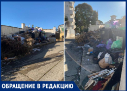 Год новый, а проблемы старые: 2 месяца не вывозят мусор с Курортного проспекта Сочи