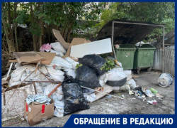 «Из контейнеров забирают, а рядом оставляют»: жительница Сочи жалуется на вывоз мусора