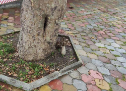 Росгвардейцы уничтожили мину, найденную в аквапарке Сочи