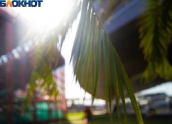 Потепление ожидается в Сочи к концу недели 