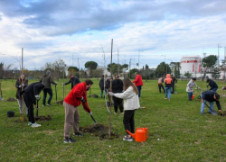  35 деревьев появились в орнитологическом парке Сочи в День волонтёра