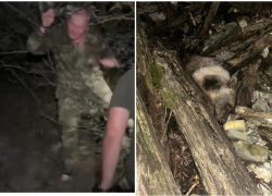 В Сочи задержали браконьера, убившего бурого медведя