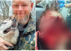 Тюрьма не грозит владельцу собак, разорвавшим лицо мальчику в Сочи