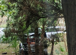 В центре Сочи “Mercedes” протаранил “Daewoo Nexia”