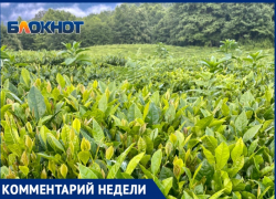 Президент союза фермеров прокомментировал решение суда: «Им повезло»