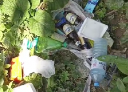  В свалку превращаются в Сочи альпийские луга горы Аибга