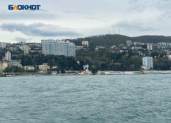 В Госдуме назвали атаку беспилотников на Сочи местью Зеленского