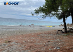 «Выборы определят, насколько в Абхазии будет успешен сезон»: эксперт по туризму Оксана Булах