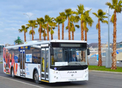 Летом число рейсов и интенсивность городского транспорта увеличат на 5%