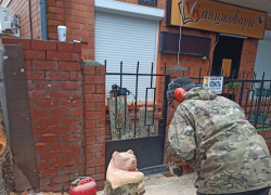 Платановое  дерево превратилось в медведя