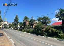 Туристы показали, что значит в Сочи «жилье 400 метров до моря»