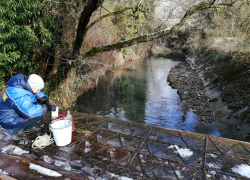 Что имеем не храним?