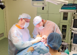 Врачи полностью восстановили нос ребенку, покусанному собаками в Сочи