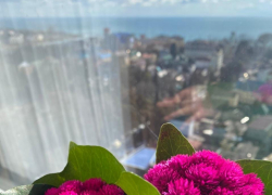 Доброе утро, Сочи