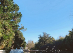 Доброе утро, Сочи