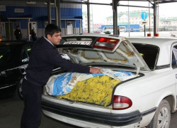 Сто тонн мимозы завезли в Сочи из Абхазии