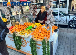 Супермаркет, ярмарка, рынок — узнали где дешевле всего в Сочи купить мандарины