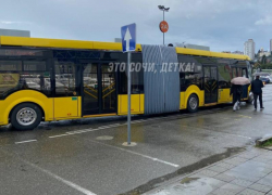 Автобусы-«гармошки» появились на дорогах Сочи