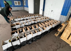 Тонну контрабандного вина изъяли на российско-абхазской границе