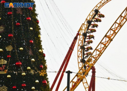 Более 10 тысяч человек встретили Новый год в «Сочи Парке»